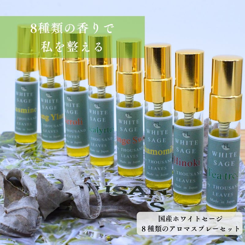 新品未開封　234 BEAUTY SERUM & ミストガンスプレーセット YTBミストガンスプレーとYTB歯髄幹細胞美容液の234ビューティー