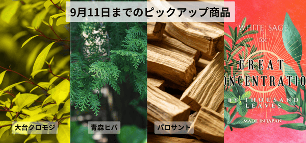 9月11日までキャンペーン開催