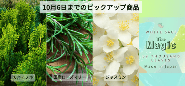 10月6日まで開催中！