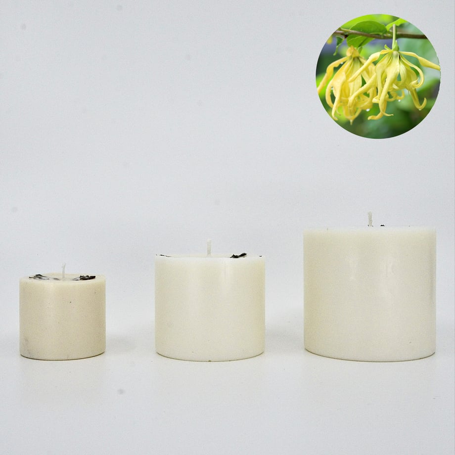 65e512ab07a6e80031411249