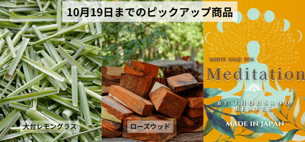 10月19日まで開催中