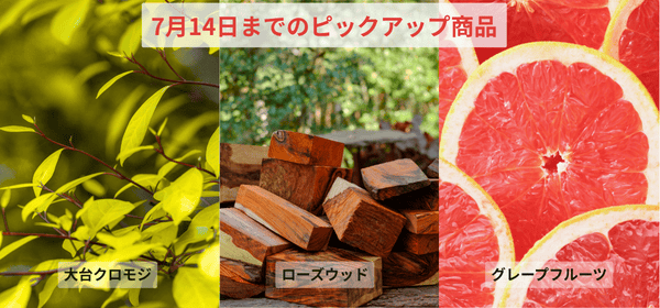 14日までのピックアップ商品