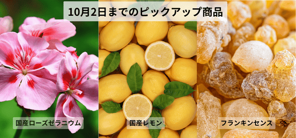 10月2日まで開催中！