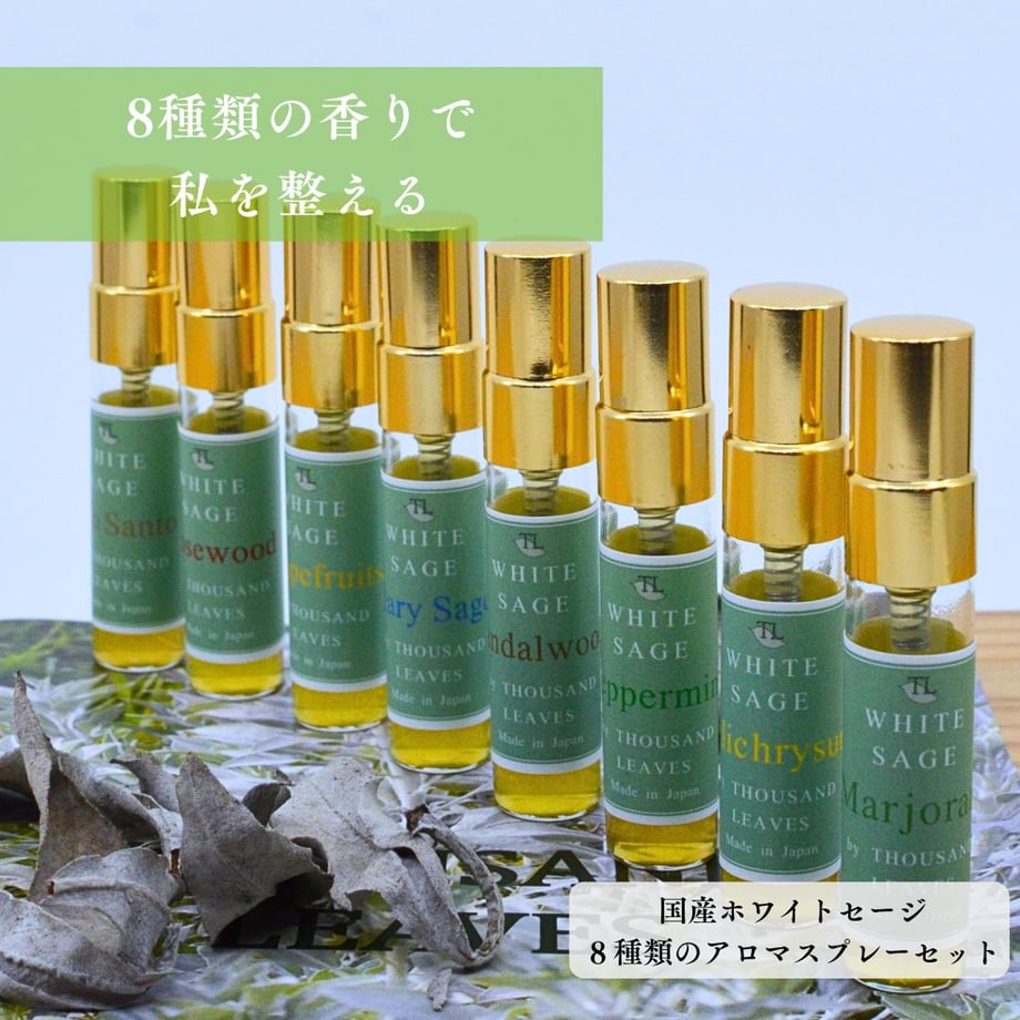 63b1529591260a68a9f64903