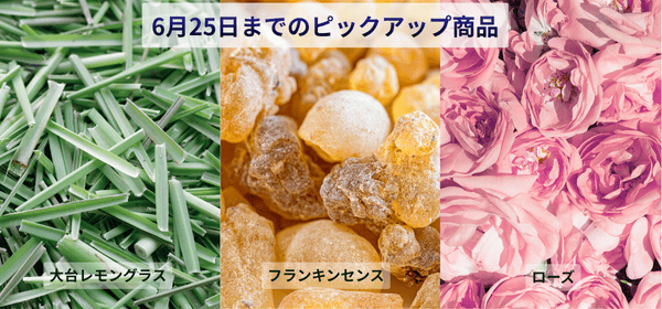25日までのピックアップ商品