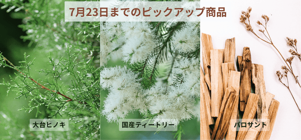 23日までのピックアップ商品