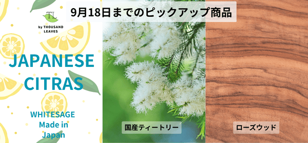 9月18日までキャンペーン開催