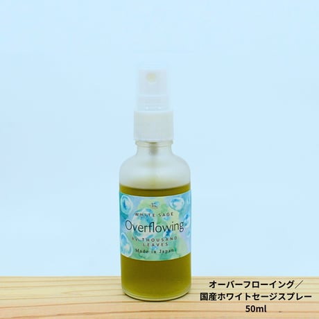 CATEGORY 12月21日までの特典付き特別キャンペーン商品 | Thousand Lea