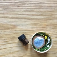 「読書に寄り添う季節のアロマ」香る木の実の小箱(アロマディフューザー) 青色