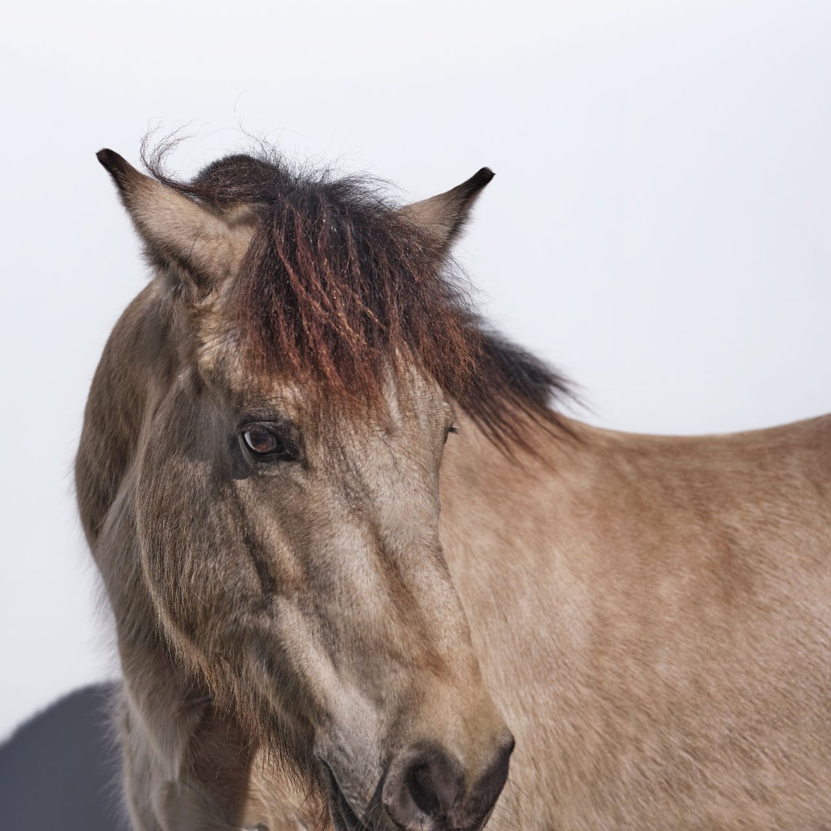 MCB45916 / EXIST / TADAYUKI MINAMOTO | Metropol