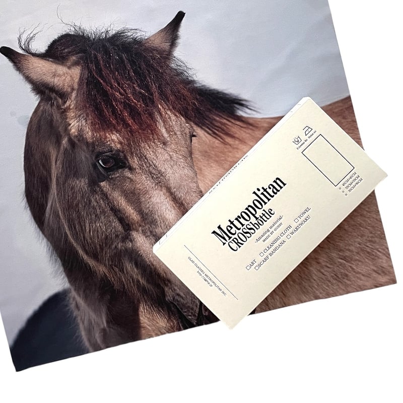 希少本(used)建築用3次元CAD「RAKU楽」パーフェクトガイド⑤⑥ 廃版 希少本(used)建築用3次元CAD「RAKU楽」パーフェクトガイド⑤⑥ 廃版 希少