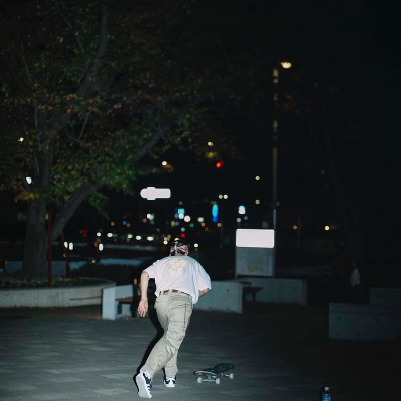 CHRISTO、RUNNING FENCE、海外版超希少レゾネ、新品額装付 千鳥格子Vネックジャンスカ｜KarLParkLane Style ONLINE SHOP