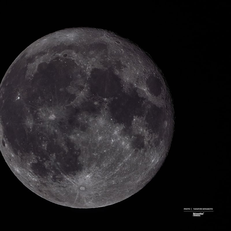 絵画 nomuno? Actor Kataoka Nizaemon VIII as the demonic thief Orochimaru