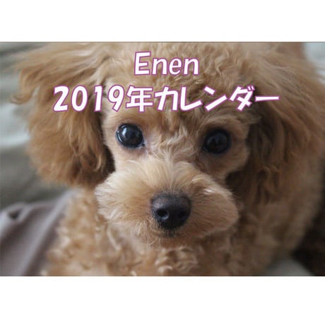 残りわずか【送料無料】2019年 トイプードル Enen 壁掛けカレンダー