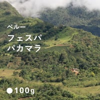 ペルー　フェスパ　ウィルダーガルシア　パカマラ種  / Medium Roast  浅煎り 200g