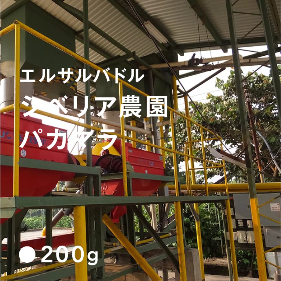 5bc5b8585496ff7b38000426