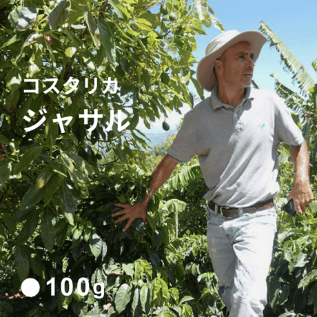 コスタリカ  ジャサル  / High Roast  浅煎り