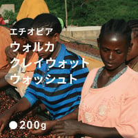 エチオピア  イルガチェフェ　ウォルカ　クレイウォット / 浅煎り (Medium Roast)