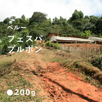 ペルー　フェスパ　ウィルダーガルシア　ブルボン種  / Fullcity  Roast  深煎り 200g