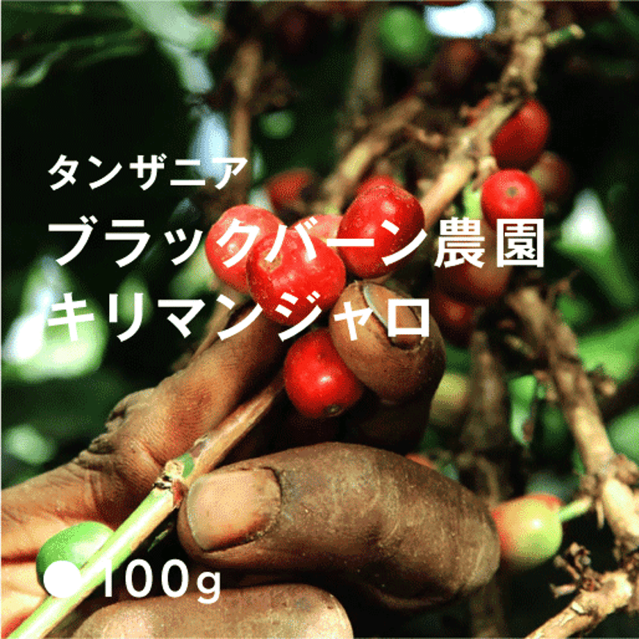5bcd71ff5f78661b900013f2