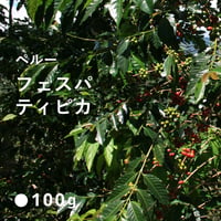 ペルー フェスパ農園 ウィルダー ガルシア ティピカ種  /  中煎り (High Roast) 100g