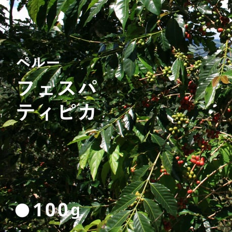 ペルー フェスパ農園 ウィルダー ガルシア ティピカ種  /  中煎り (High Roast) 100g
