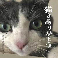 CD「猫よありがとう」ポカスカジャン（送料込み）