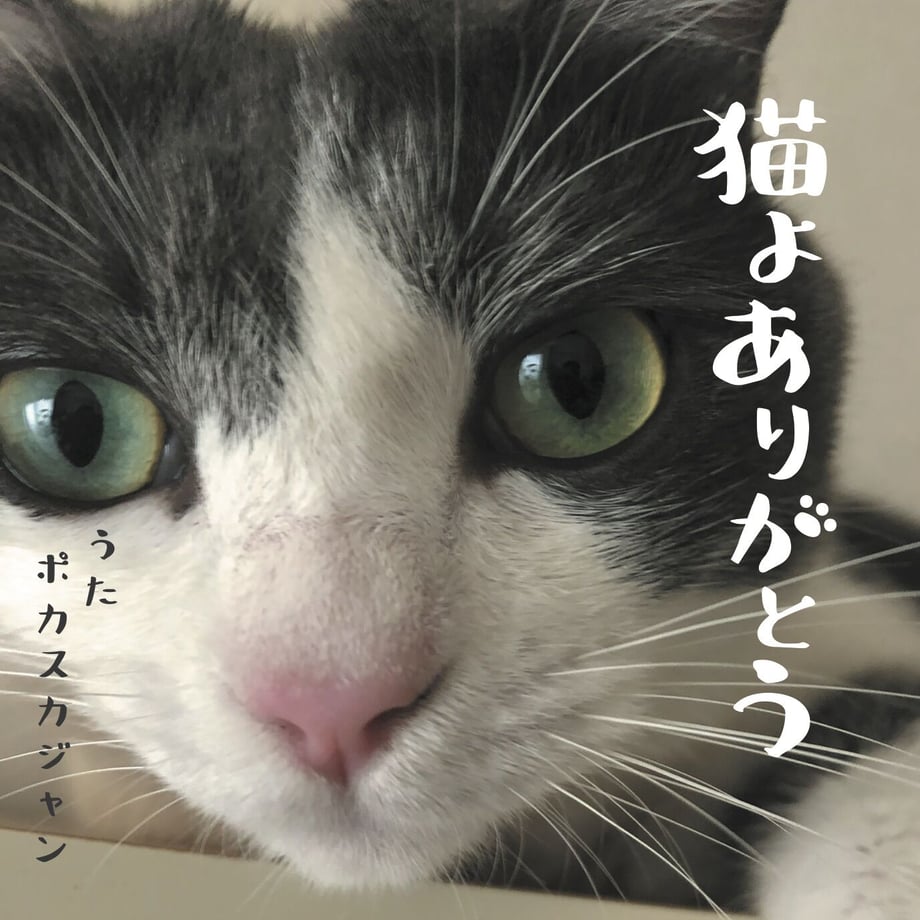 6179f5ab7d5d8115de6bd0eb