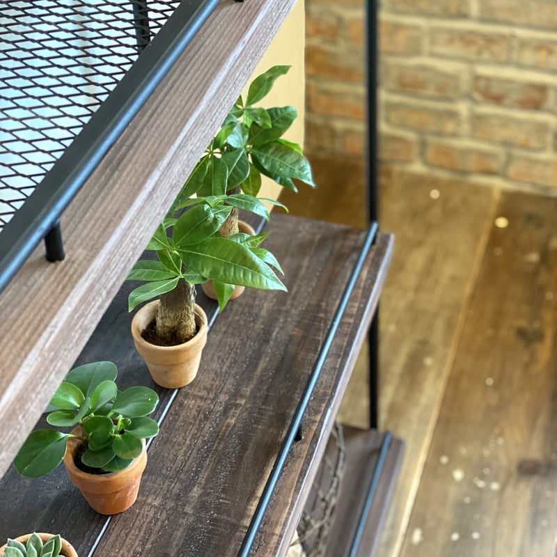 数量限定 PSA 植物棚 観葉植物 プランターシェルフ フラワースタンド