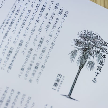 シュロ2