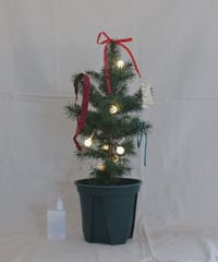 Christmas tree 【Soy candle set】
