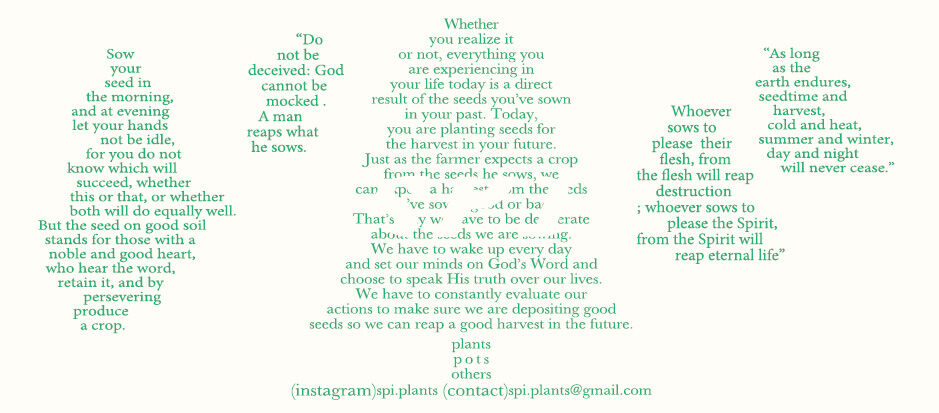 spi plants