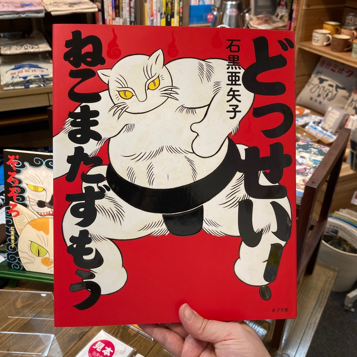 どっせい！ねこまたずもう』｜石黒亜矢子 | 出発点オンライン