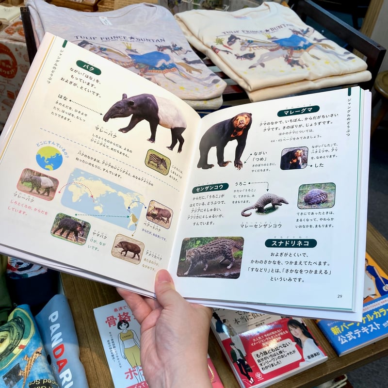 じぶんでよめる どうぶつずかん｜成美堂出版編集部 | 出発点オンライン