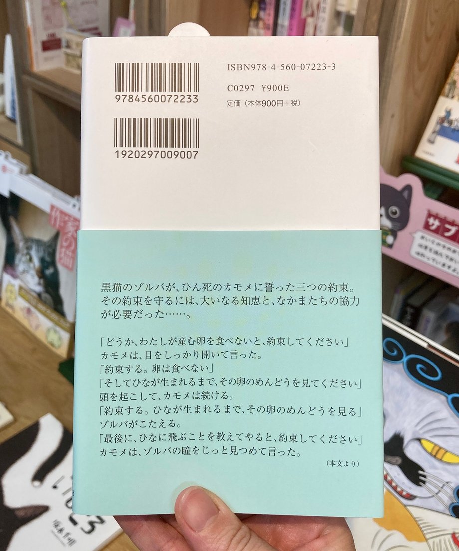 67ff6d518200895d623ab952