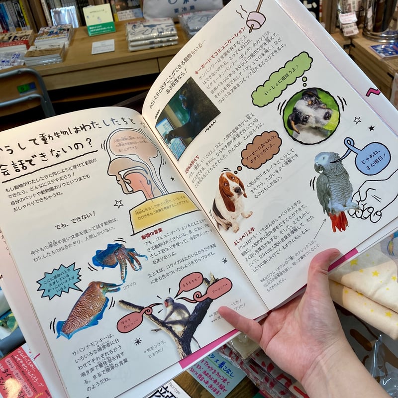 どうしてペンギンは飛べないの？｜アンナ クレイボーン(著)平田 三桜