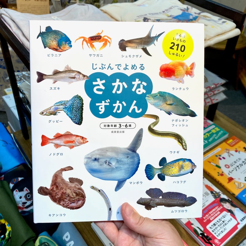 じぶんでよめる さかなずかん｜成美堂出版編集部 | 出発点オンライン