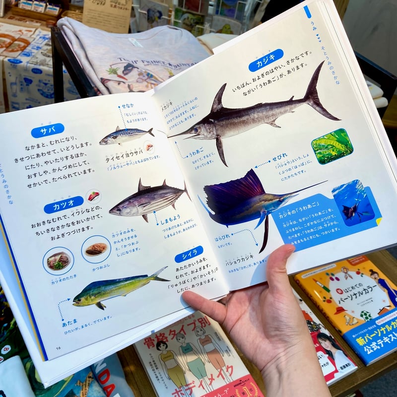 じぶんでよめる さかなずかん｜成美堂出版編集部 | 出発点オンライン