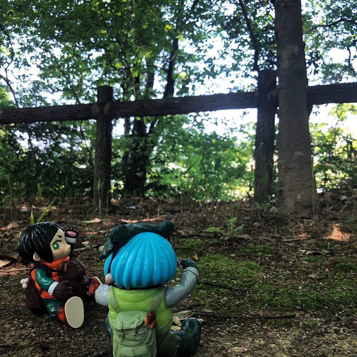 Mushroom Mountain Mandarin Orange 🍊 | Q:JAM's S