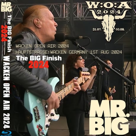 廃盤　3枚セット　MR BIG uk グラムロック　ローリー　すかんち　布袋 p10012805-001.jpg