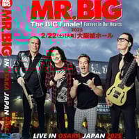 BILLY JOEL 「ONE NIGHT ONLY IN JAPAN TOKYO 2024