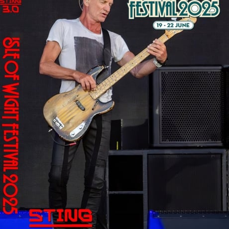 STING 3.0 スティング JAPAN TOUR フィギュア Tシャツ