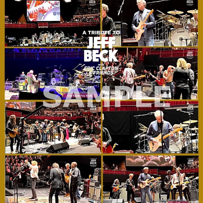 Jeff Beck ジェフ・ベック ライヴ・アット・イリディウム[DVD] Amazon.co.jp: 【字幕付・日本版】ジェフ・ベック ライヴ