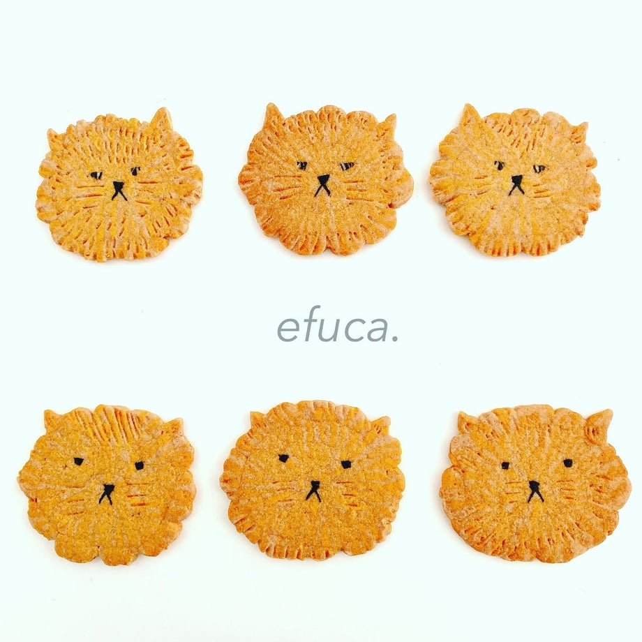 5cf234f8e7c8ab1718df4a71