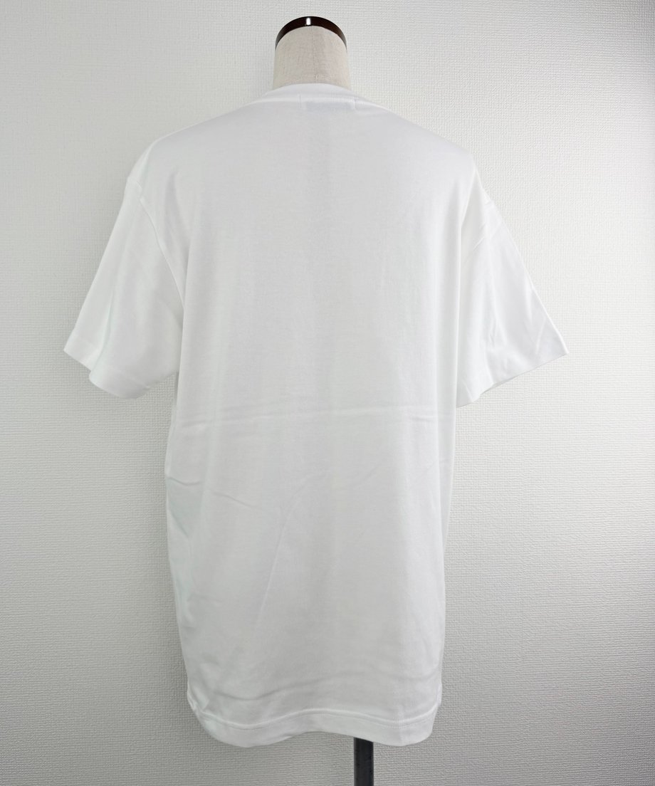 6a4387cc324c36083e86201a