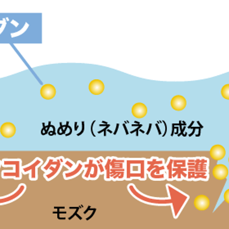 『舌はうそをつかない！』                                    海の蜜フコイダンハミガキジェル 　https://www.amiu.co.jp/uminomitsu/