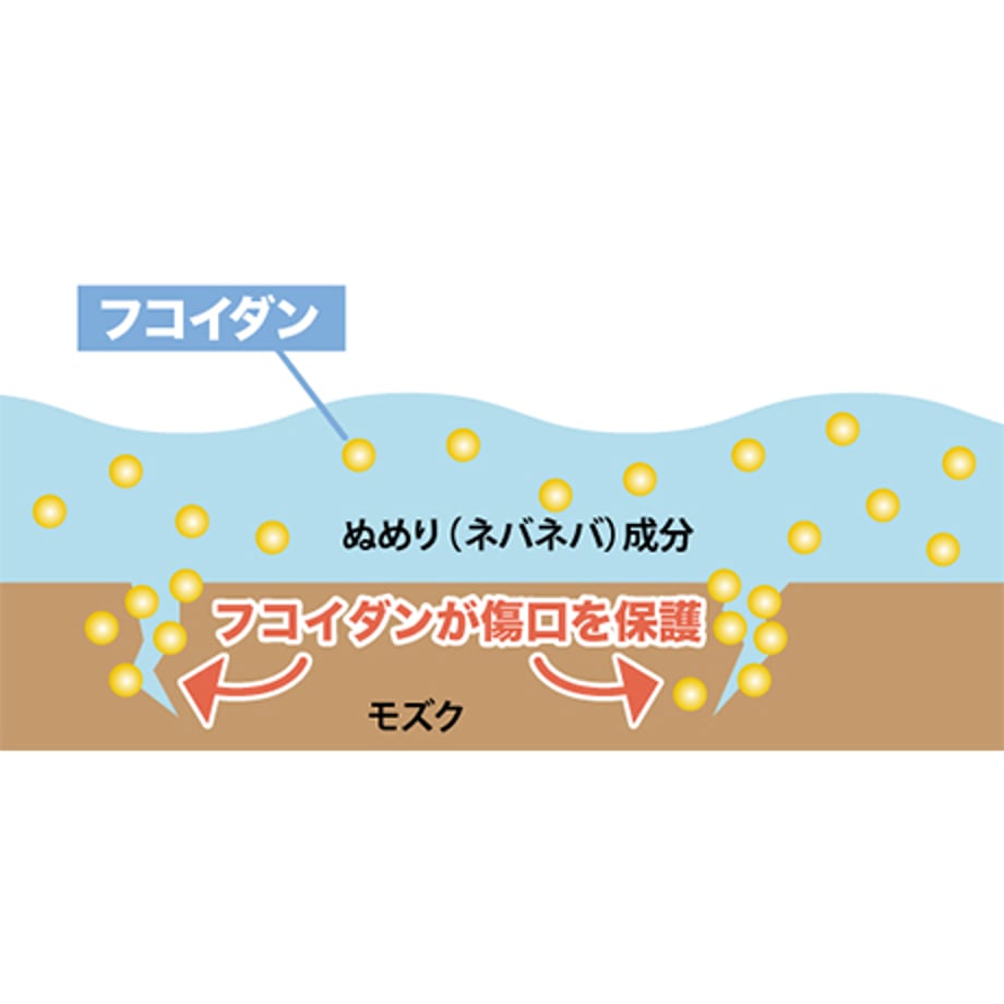 682d4446888a2ef6292b5500