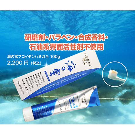 【あみうチャンネル企画】海の蜜フコイダンハミガキ（フコイダン10％配合）3本セット