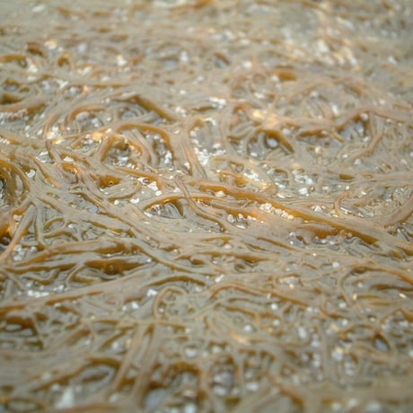 もずく洗顔石けん海の蜜  2個セット