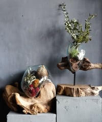 "キノモノ"　Glass planter　B